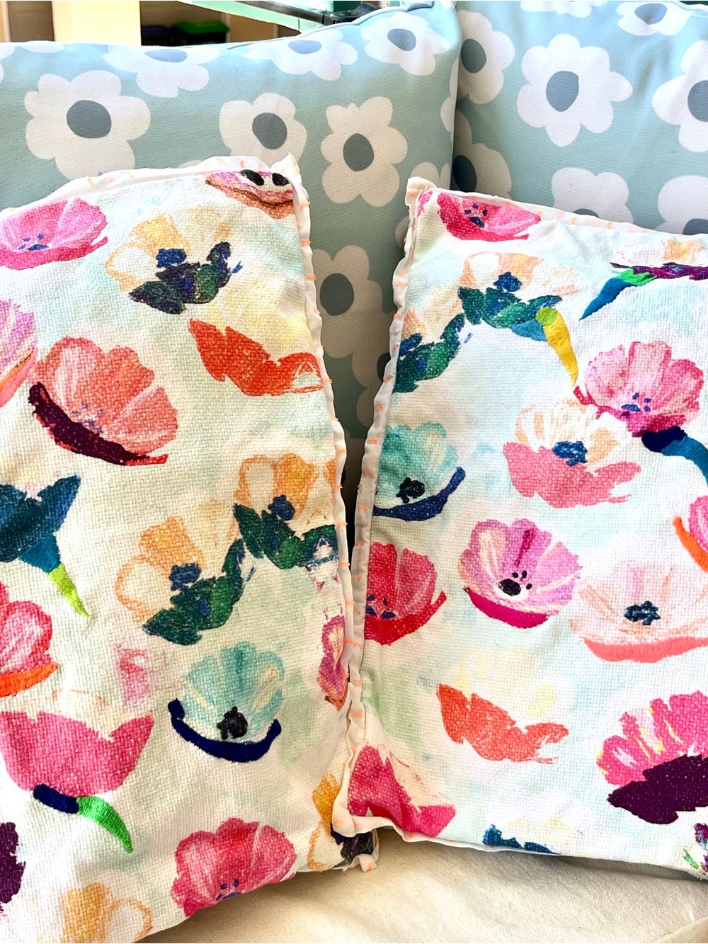 4 ANTHROPOLOGIE & SOCIETY 6 Pillow COVERS 18x18 and 20x20